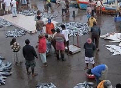 The Foodie - Sri Lanka Culinary Tour