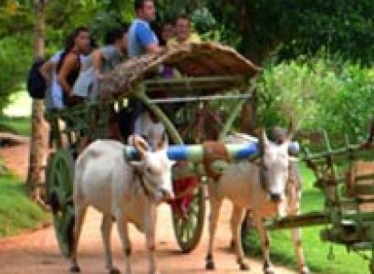 Sri Lanka Luxury Family Escape - 7 Days Tour