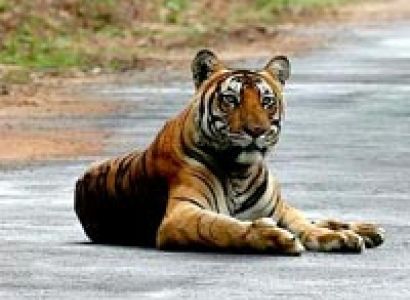 Discover Karnataka Tour