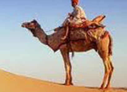 Udaipur-Jodhpur-Jaisalmer Tours (7Days6 Night)