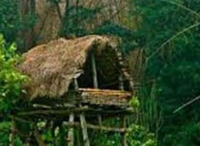 Short Tour of Wayanad