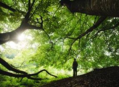 Make a Relation with Nature Tour