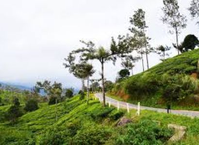 Memorable Moments with God's Own Country