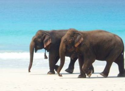 Port Blair - Island Delight Tour
