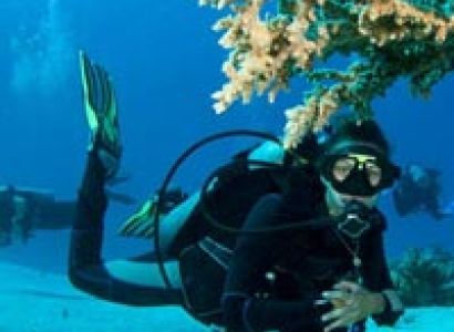 Amazing Andaman Tour