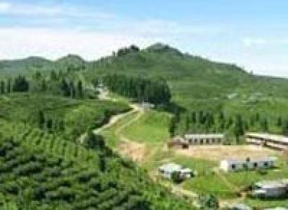 Package Tour of Gangtok Darjeeling