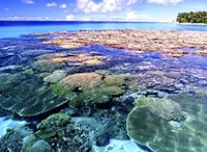 Andaman & Nicobar Honeymoon Tour