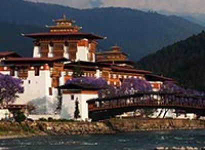 Bhutan - Lataguri Tour