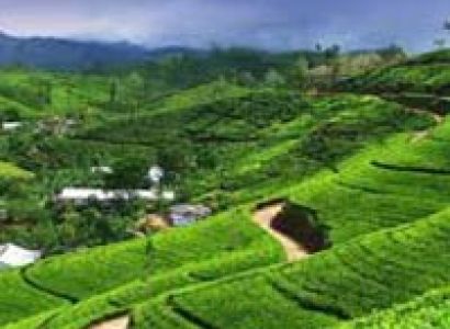 Darjeeling And Sikkim Grandeur Tour