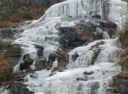 Gangtok - Lachen - Lachung - Darjeeling - 28 Tour