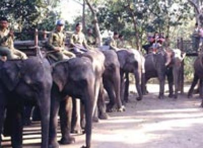 Kathmandu - Nagarkot - Pokhara - Sarankot - Chitwan Tour