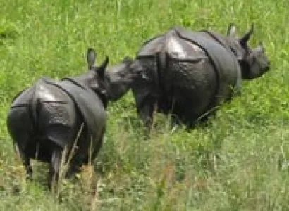 Misty Assam / Meghalaya - 2 Tour