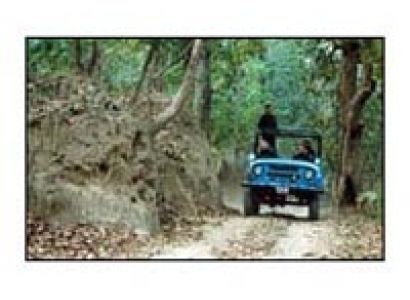 Jungle Tour / Safari Himalayan Dooars -1