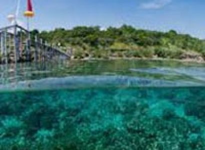 Romantic Bali Tour