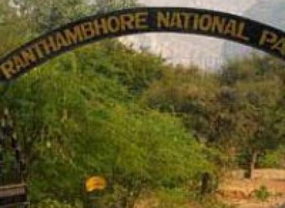 Ranthambore Jungle Safari