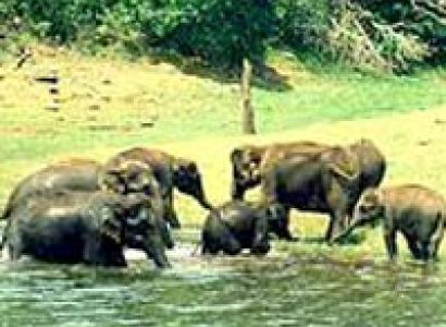 EXPLORE GAVI PACKAGE