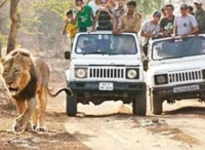Short Escape to Gir Tour
