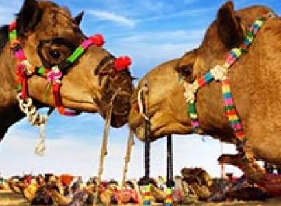 Splendid Rajasthan Tour