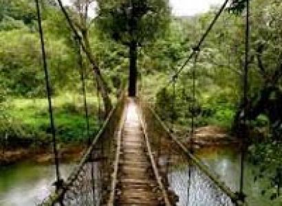 Wayanad & Coorg Package