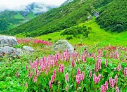 Valley of Flowers Trek