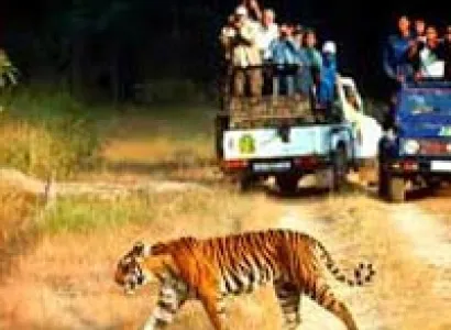 Short Escape to Corbett Tour