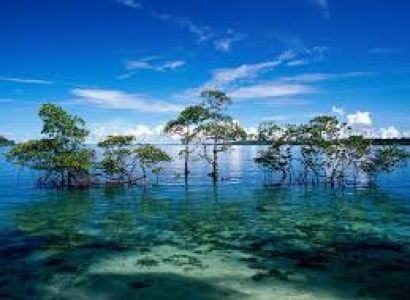 Andaman 3nights & 4 Days