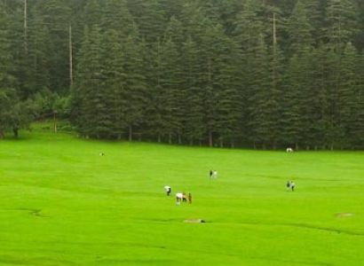 Dalhousie Khajjiar Tour