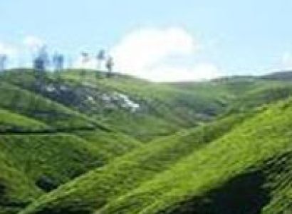 Kerala Package[Munnar]