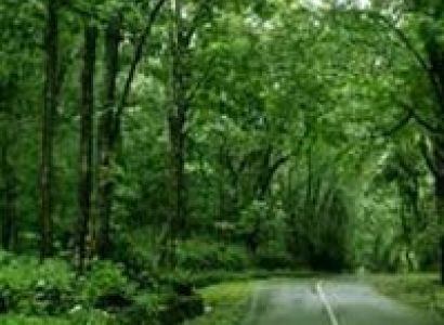 Short Escape to Wayanad Tour