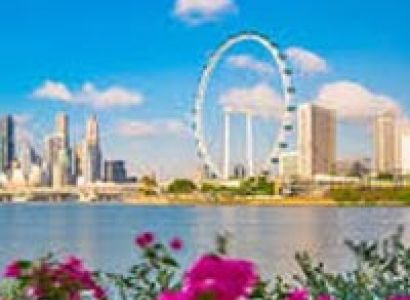 Singapore Tour