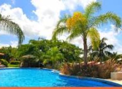 Escape to Barbados
