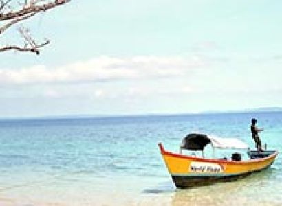 Andaman Island Delight