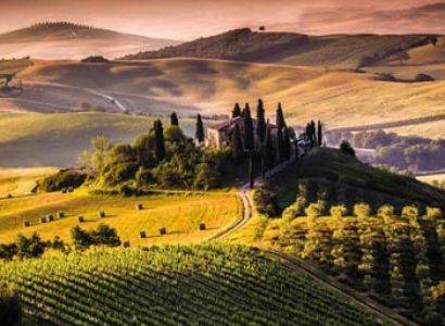 Southern Tour with Hills