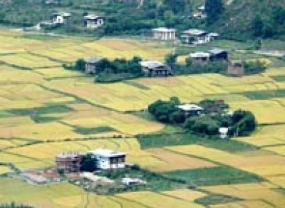 Glimpse of Thimphu & Paro Tour