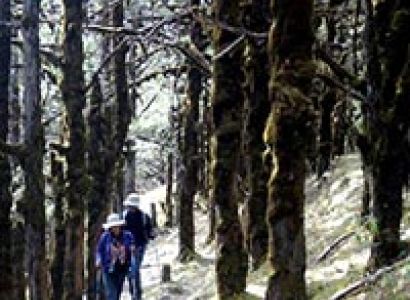 Druk Path Trek Tour