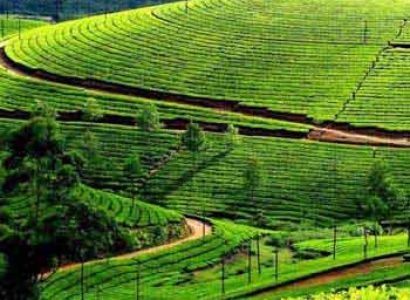 Best of South India Tour Package