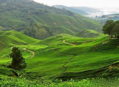 Kerala Pocket Friendly Tour Package