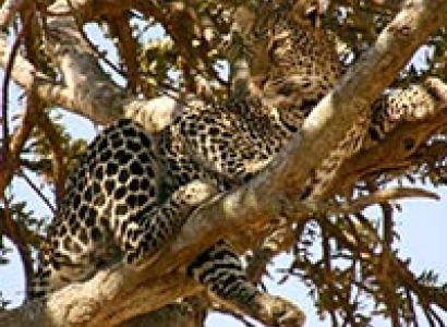 3 Days Masai Mara Tour