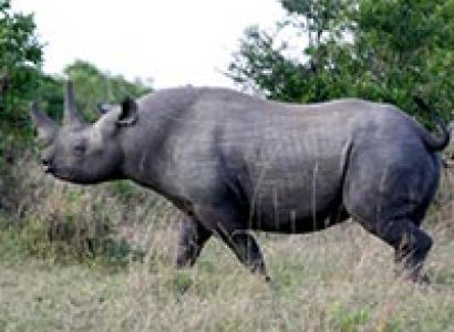 3 Days Discover Masai Mara