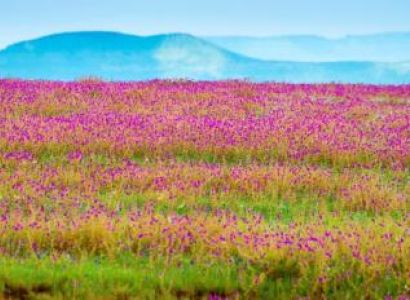 One Day Tour from Pune