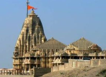 Anandvan - Hemalkasa - Somnath -Tadoba - Tour