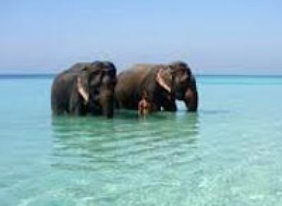 Andaman Luxurious Honeymoon Tour