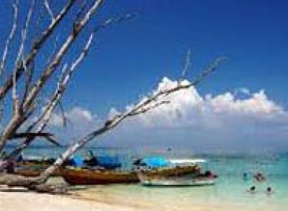 Emeralds - A Magnificence Package