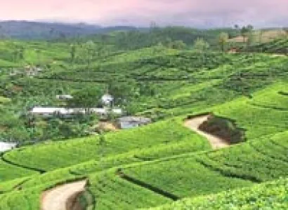 08 Nights 09 Days - Kalimpong (2 Night), Gangtok (2 Nights), Pelling (2 Night), Darjeeling Tour