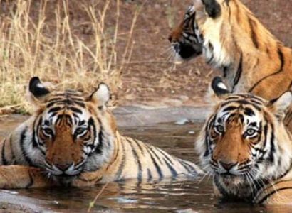 Uttarakhand Adventure Tour