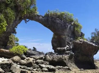 Andaman Tour Package