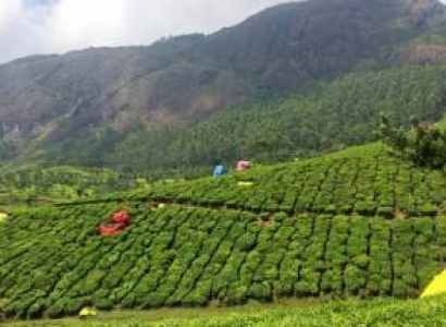 Feeling Gangtok & Darjeeling Tour