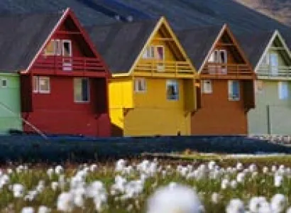 Summer Icefjord Safari Tour