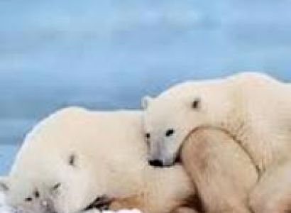 The Golden Compass Tour