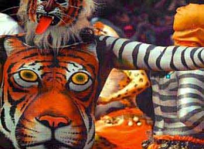 Magnificent Kerala Tour